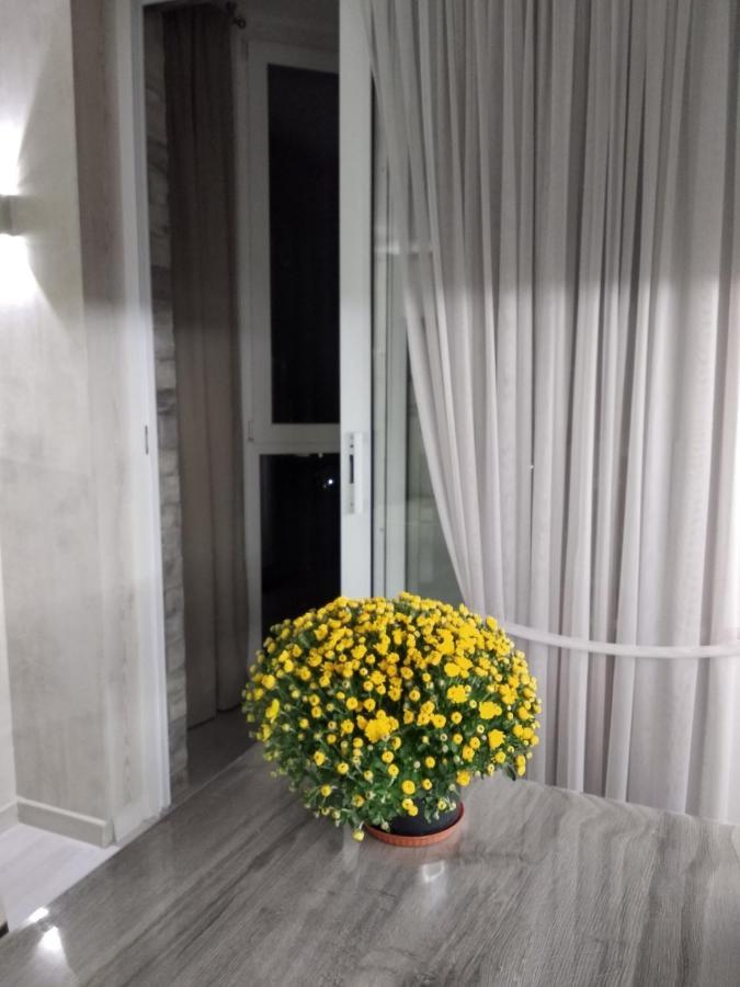 Apartment Viliamsa Oldenburg Bagian luar foto
